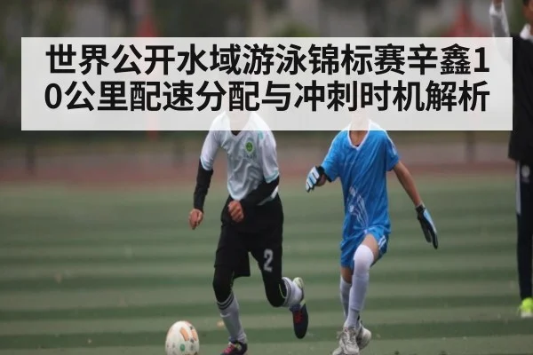 世界公开水域游泳锦标赛辛鑫10公里配速分配与冲刺时机解析（HTH）
